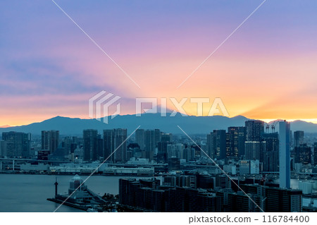 View of Mount Fuji from Tokyo 116784400