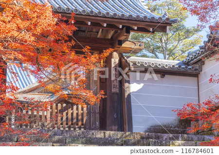 Kyoto in autumn, Manshu-in Temple, Chokushimon gate covered in autumn leaves 116784601