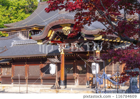 秋天的京都，今宮神社正殿被秋葉覆蓋 116784609