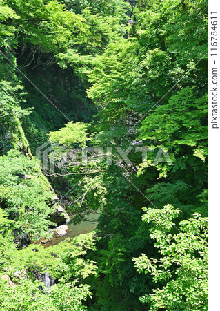 View from the observation deck: Daigenta Canyon, landscape directly below the erosion control dam, Yuzawa Town, Niigata Prefecture View from the observation deck: Daigenta Canyon, landscape directly below the erosion control dam, Yuzawa Town, Niigata Prefecture 116784611