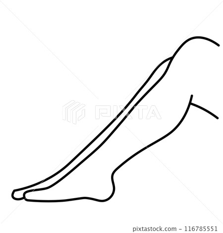 腿的線條畫插圖 116785551