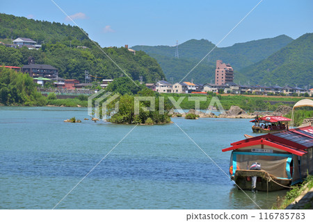 [Aichi Prefecture] Inuyama City, Kiso River Cormorant Fishing Sightseeing Boat 116785783