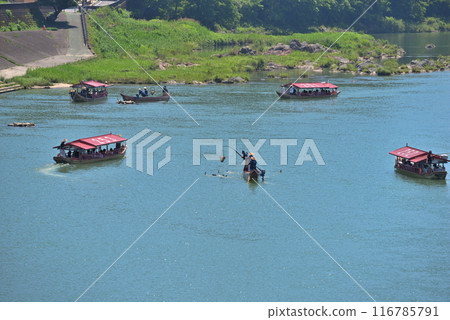 [愛知縣]犬山市木曾川鸕鶿釣魚遊船 116785791
