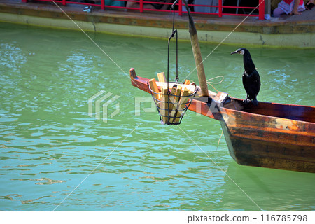《Aichi Prefecture》Inuyama City Kiso River Cormorant Fishing 116785798