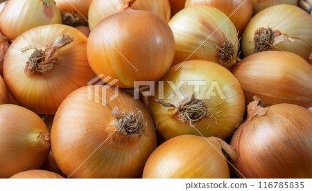 Background of a pile of onions 116785835