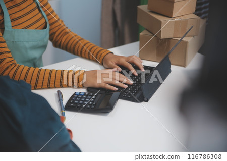 Asian female medical doctor use stethoscope to listen examine check senior elderly patient heart 116786308