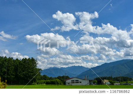 信州夏日田園風光,雄偉的天空中飄浮著白雲 信州夏日田園風光,雄偉的天空中飄浮著白雲 116786862