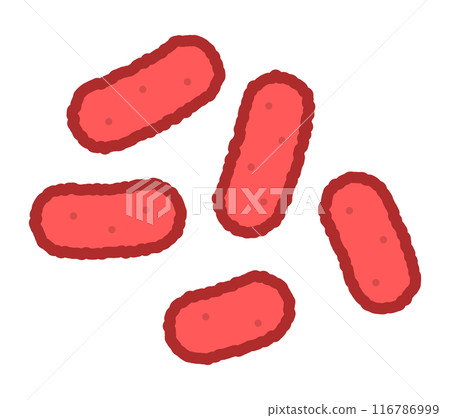 Shigella Shigella 116786999