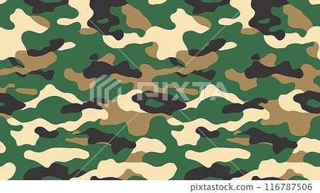 camouflage background 116787506