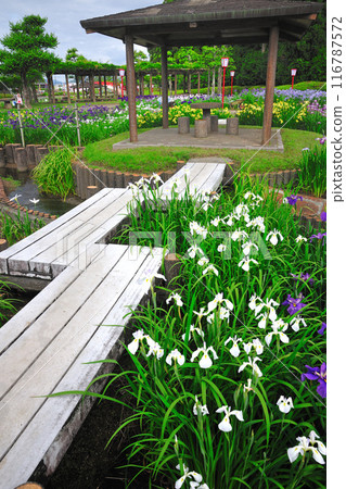 Kamo Shobuen Garden Kamo Shobuen Garden 116787572