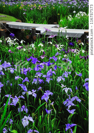 Kamo Shobuen Garden Kamo Shobuen Garden 116787573