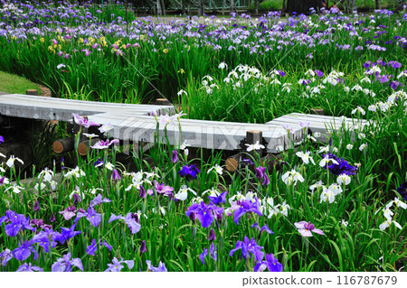 Kamo Shobuen Garden 116787679