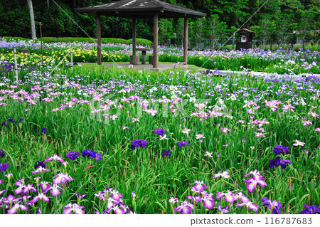 Kamo Shobuen花園 Kamo Shobuen花園 116787683