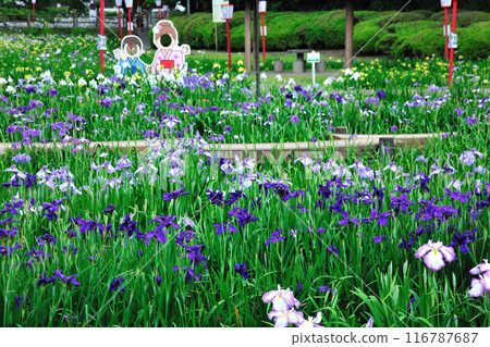 Kamo Shobuen花園 116787687