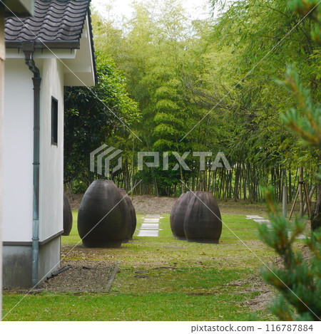 用來製作燒酒的大陶瓷瓶 116787884