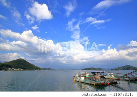 夏天的瀨戶內風景 116788113