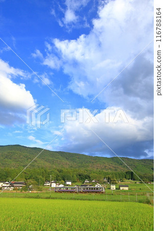 里山和普通列車都變得秋天了 116788164