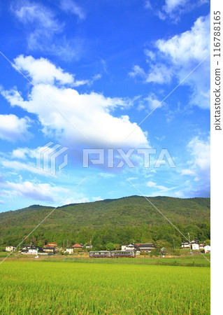 里山和普通列車都變得秋天了 116788165