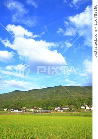 里山和普通列車都變得秋天了 116788166