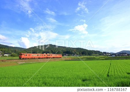 火車在晴朗的天空下行駛 116788167