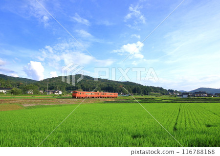 火車在晴朗的天空下行駛 116788168