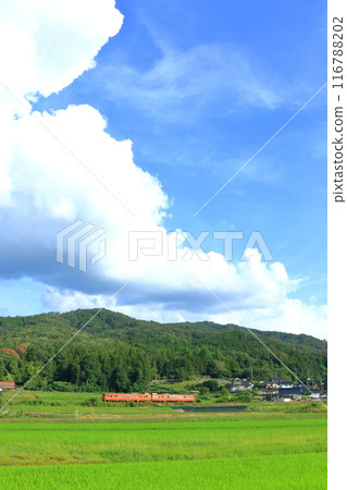 A train passing through the countryside 116788202