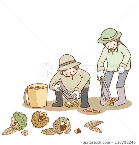 人們摘栗子 116788246