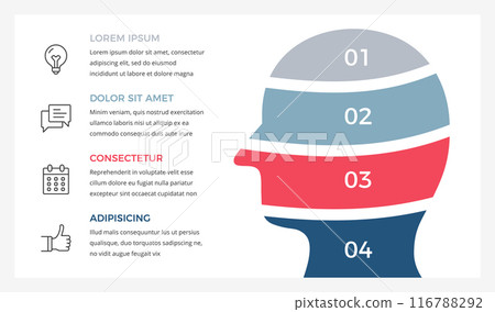 Male Head - Infographic Template Male Head - Infographic Template 116788292