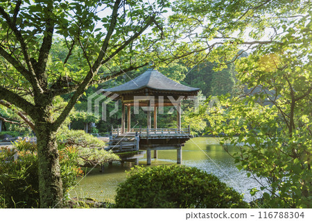 Chiba Naritasan Park Chiba Naritasan Park 116788304