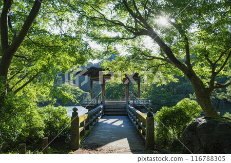 Chiba Naritasan Park Chiba Naritasan Park 116788305