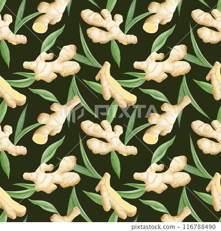 Dark green ginger roots and leaves watercolor seamless pattern. Hand drawn background with horseradish vegetable for kitchen textile, organic spicy food packaging, vegan menu or farm market 116788490