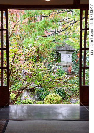 Beautiful autumn scenery at Ohara Hosen-in Temple (Sakyo Ward, Kyoto City) Beautiful autumn scenery at Ohara Hosen-in Temple (Sakyo Ward, Kyoto City) 116788647