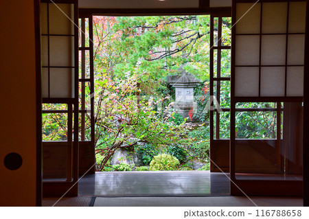 Beautiful autumn scenery at Ohara Hosen-in Temple (Sakyo Ward, Kyoto City) 116788658