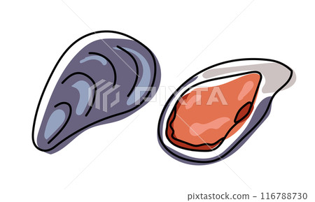 Vector set of hand drawn Mussels Vector set of hand drawn Mussels 116788730