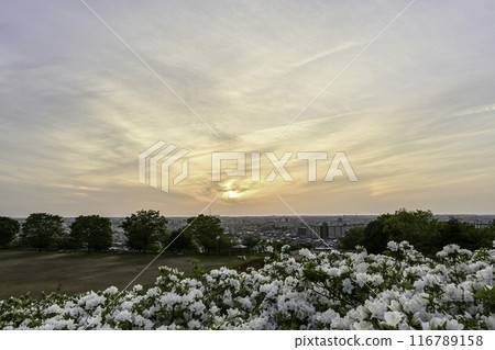 杜鵑花盛開的大乘寺九靈公園 杜鵑花盛開的大乘寺九靈公園 116789158