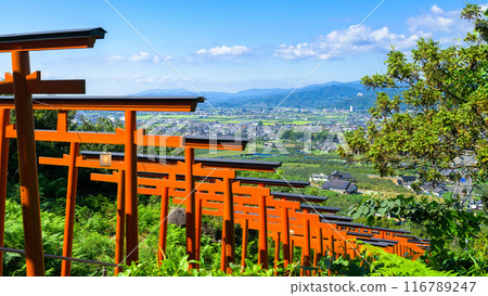 92 torii gates against the blue sky! A power spot in Ukiha where you can enjoy a spectacular view: Ukiha Inari Shrine, Ukiha City, Fukuoka Prefecture 116789247