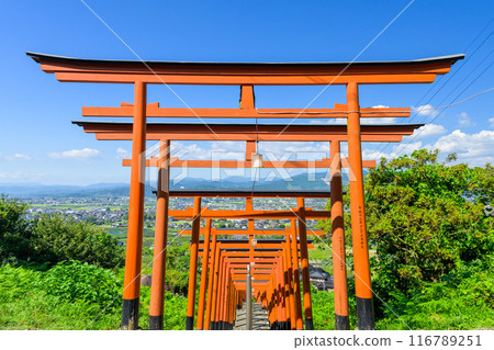 92座鳥居與藍天映襯！ 福岡縣浮羽市浮羽的絕景能量景點“浮羽稻荷神社” 116789251