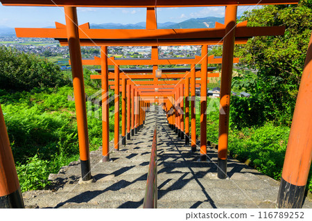 92 torii gates against the blue sky! A power spot in Ukiha where you can enjoy a spectacular view: Ukiha Inari Shrine, Ukiha City, Fukuoka Prefecture 92 torii gates against the blue sky! A power spot in Ukiha where you can enjoy a spectacular view: Ukiha Inari Shrine, Ukiha City, Fukuoka Prefecture 116789252