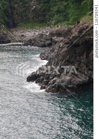 The sea in Seogwipo, Jeju, where sunlight and waves hitting rocks coexist The sea in Seogwipo, Jeju, where sunlight and waves hitting rocks coexist 116789341