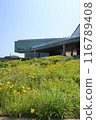 Jeju Glass House Scenery 116789408