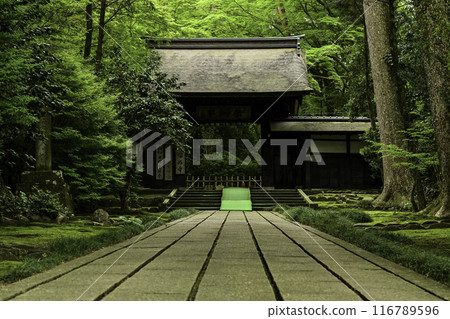 大成寺的新綠 大成寺的新綠 116789596