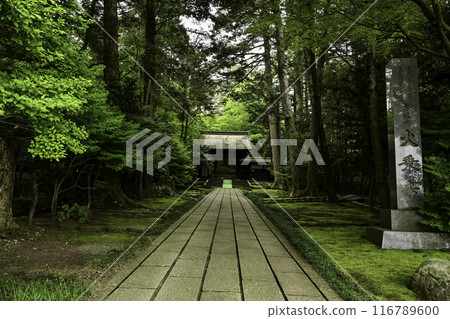 Fresh greenery at Daijoji Temple Fresh greenery at Daijoji Temple 116789600