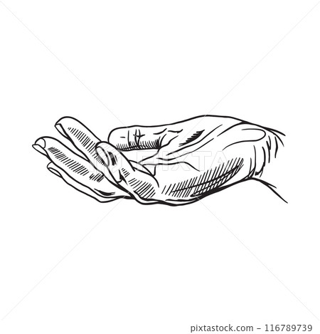 Human hand. The gesture of receiving or giving something. Fingers. Vector illustration. Graphic. Banners, posters, labels, leaflets, information signs Human hand. The gesture of receiving or giving something. Fingers. Vector illustration. Graphic. Banners, posters, labels, leaflets, information signs 116789739