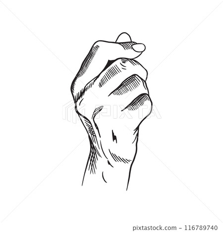Human hand. Gesture of money or pinch, fingers holding something. Vector illustration in graphic style. Banners, posters, leaflets, information signs. Human hand. Gesture of money or pinch, fingers holding something. Vector illustration in graphic style. Banners, posters, leaflets, information signs. 116789740