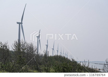 秋田市海岸線上的風力發電用風力渦輪機 秋田市海岸線上的風力發電用風力渦輪機 116789764