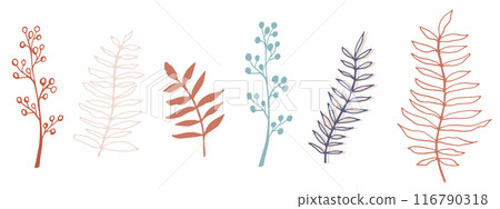 vector contour branch and leaves for harvest festival poster. Elegant silhouette and outline element in trendy pastel colors. hand drawn botanical illustration for wedding design, cards, logo, tattoo 116790318