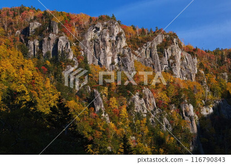 層雲峽峽谷的秋天 116790843
