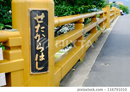 Seta's Tang Bridge 116791010