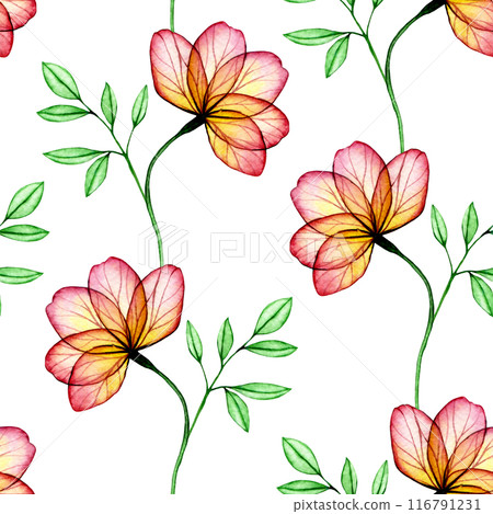 watercolor seamless pattern with transparent peony flowers. X-ray. delicate print with pink flowers 116791231
