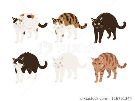 顏卡步貓插畫 116791344